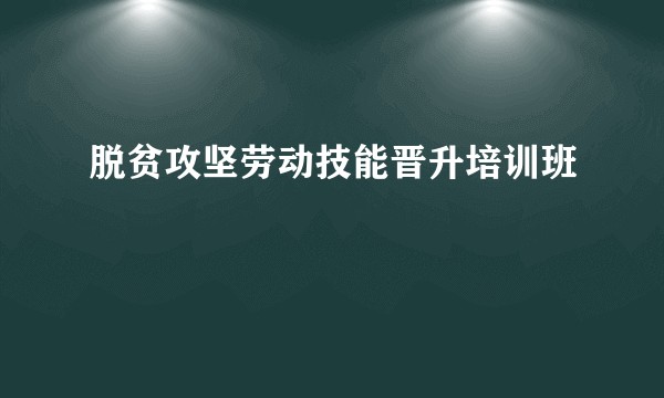 脱贫攻坚劳动技能晋升培训班