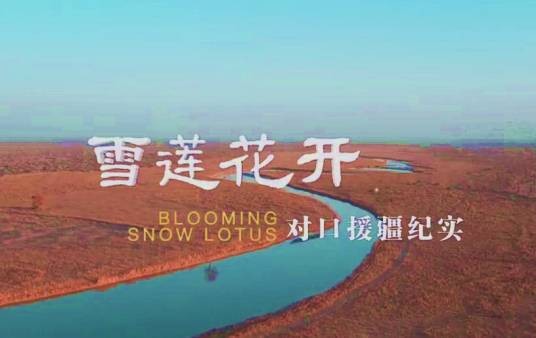 雪莲花开——对口援疆纪实
