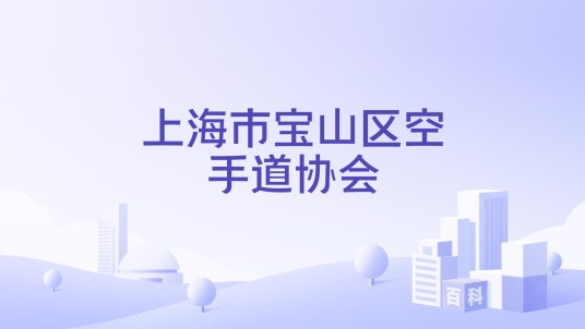 上海市宝山区空手道协会