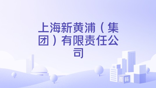 上海新黄浦（集团）有限责任公司