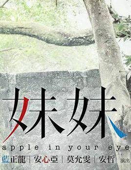 妹妹（2014年陈戎晖执导家庭命运电视剧）