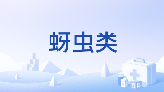 蚜虫类