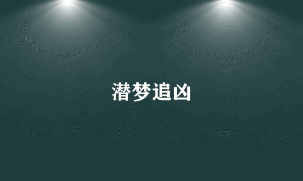 潜梦追凶
