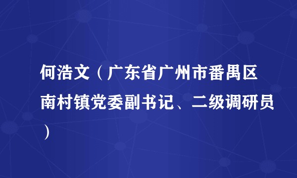 何浩文（广东省广州市番禺区南村镇党委副书记、二级调研员）
