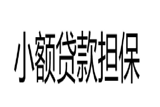 小额贷款担保