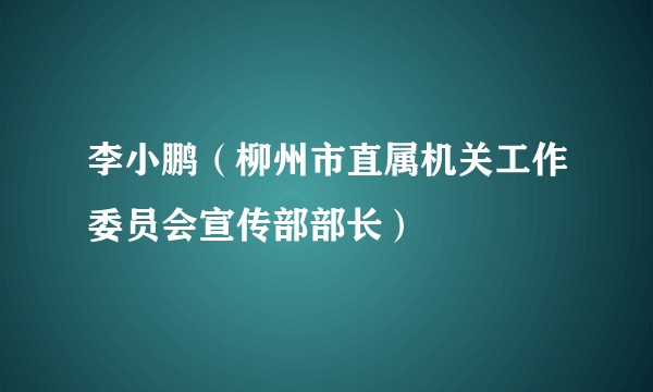 李小鹏（柳州市直属机关工作委员会宣传部部长）
