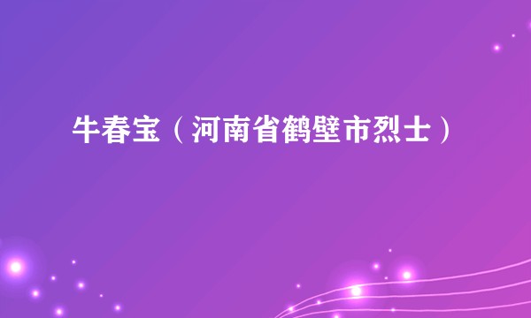 牛春宝（河南省鹤壁市烈士）