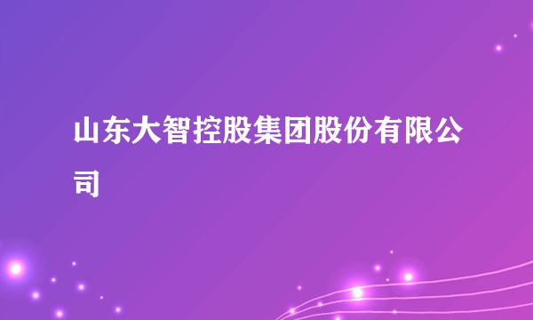 山东大智控股集团股份有限公司