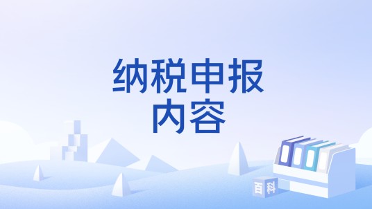 纳税申报内容