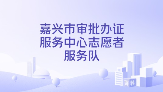 嘉兴市审批办证服务中心志愿者服务队