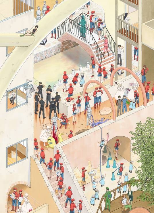 工作细胞（david production改编的电视动画作品）