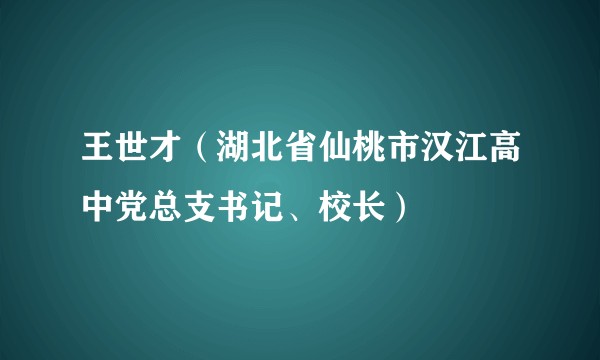 王世才（湖北省仙桃市汉江高中党总支书记、校长）