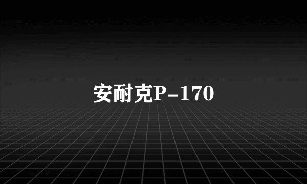 安耐克P-170
