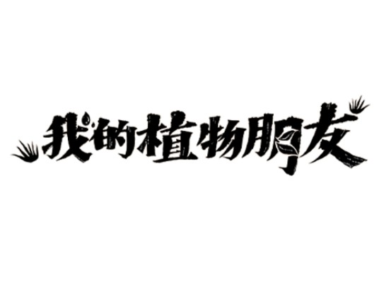 我的植物朋友