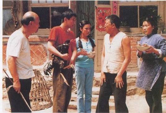 斗鸡（1990年王秉林执导的电影）
