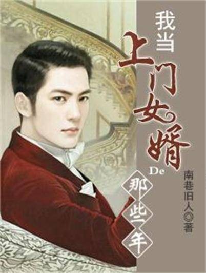 我当上门女婿那些年（书丛网小说）