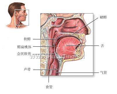 声带息肉手术