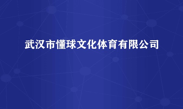 武汉市懂球文化体育有限公司