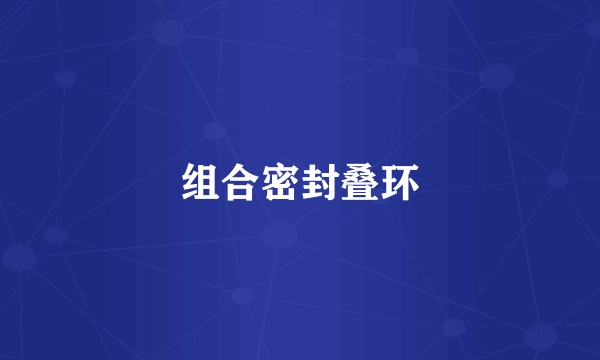 组合密封叠环