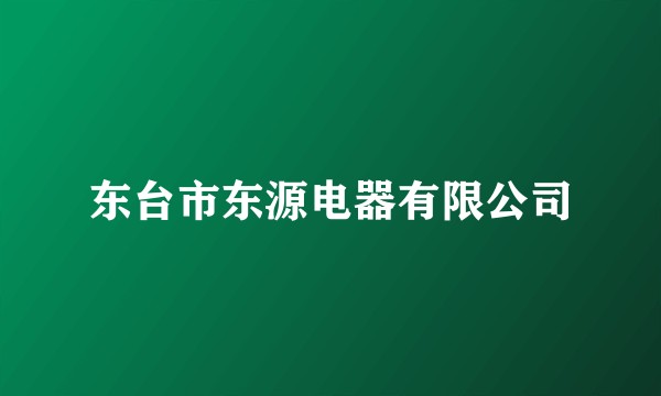 东台市东源电器有限公司