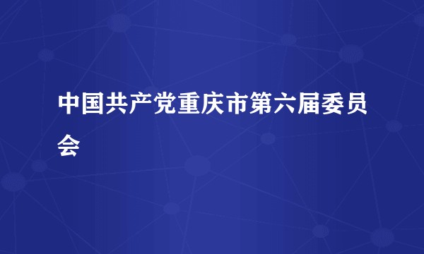 中国共产党重庆市第六届委员会
