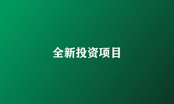 全新投资项目