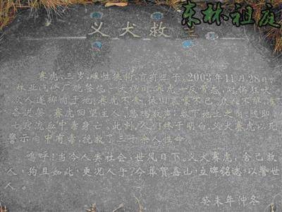 赛虎（舍身尝毒救人的义犬）