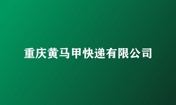 重庆黄马甲快递有限公司