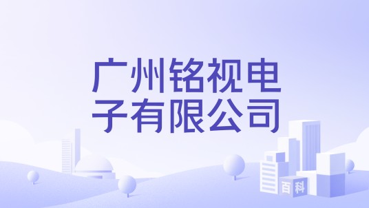 广州铭视电子有限公司