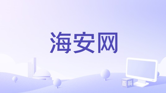 海安网