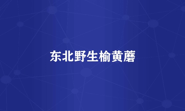 东北野生榆黄蘑