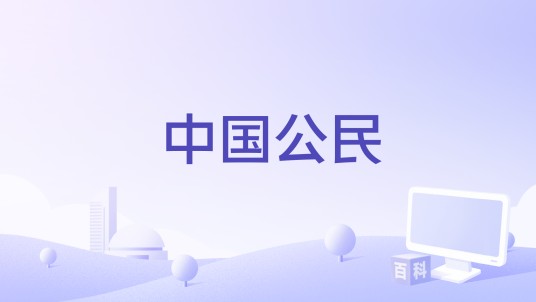 中国公民（中国王天麟、王文利编剧的电影）