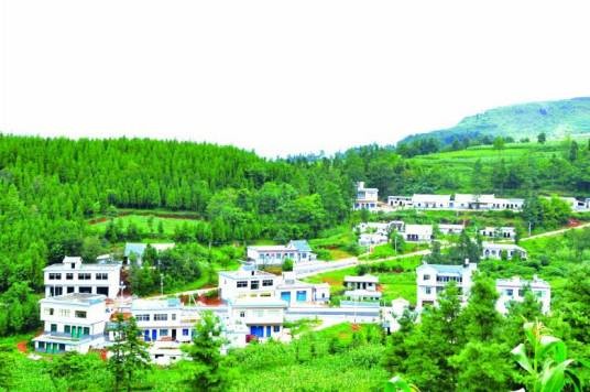 坡上村(广东省吴川市黄坡镇坡上村)