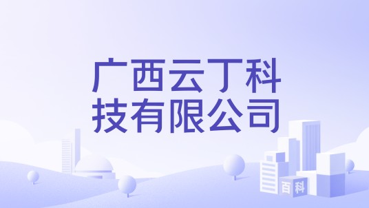 广西云丁科技有限公司
