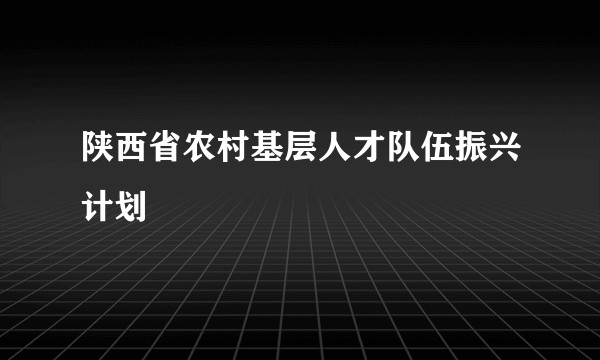 陕西省农村基层人才队伍振兴计划