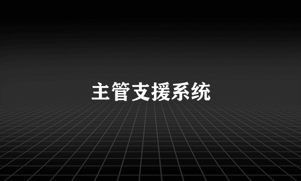 主管支援系统