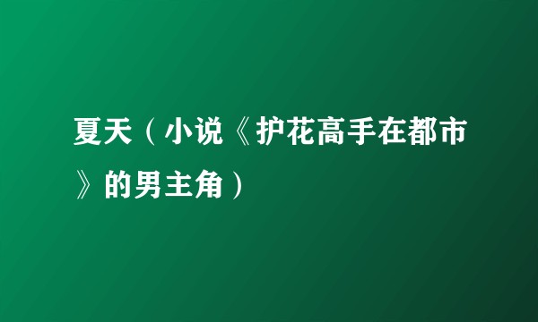 夏天（小说《护花高手在都市》的男主角）