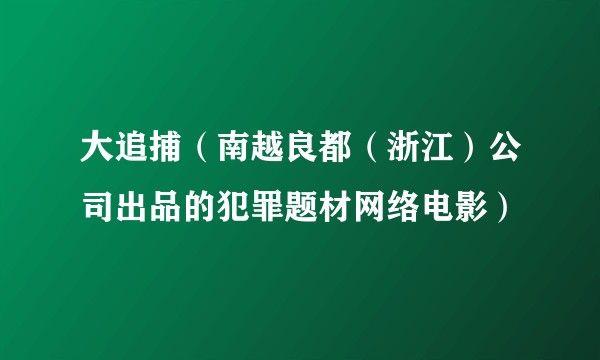 大追捕（南越良都（浙江）公司出品的犯罪题材网络电影）