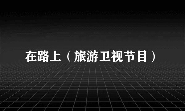 在路上（旅游卫视节目）