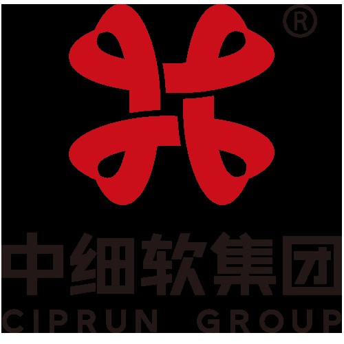 中细软集团有限公司