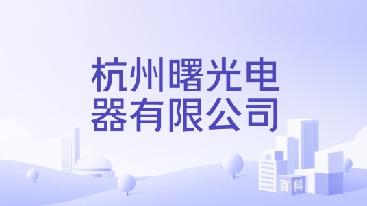 杭州曙光电器有限公司
