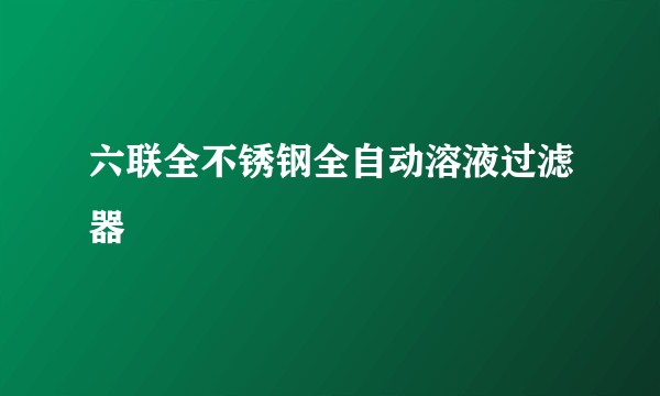 六联全不锈钢全自动溶液过滤器