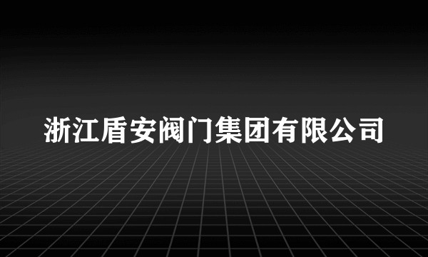 浙江盾安阀门集团有限公司