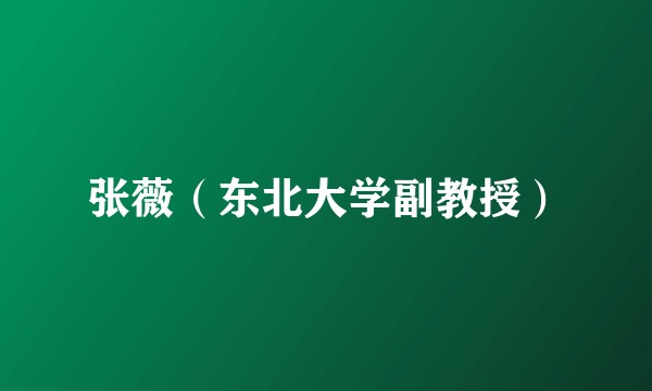 张薇（东北大学副教授）