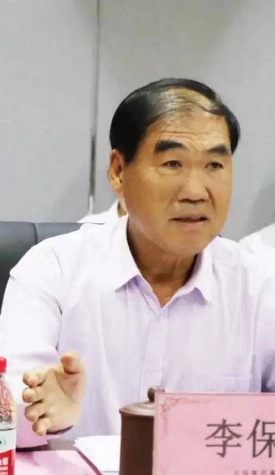 李保田（中国天保集团执行董事兼董事局主席）