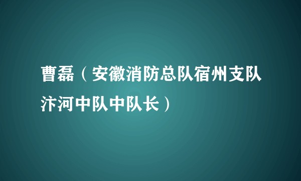 曹磊（安徽消防总队宿州支队汴河中队中队长）
