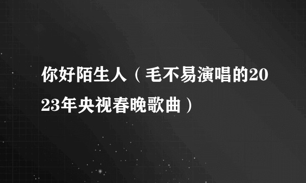 你好陌生人（毛不易演唱的2023年央视春晚歌曲）
