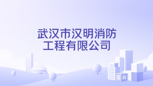 武汉市汉明消防工程有限公司