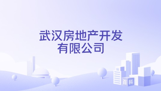 武汉房地产开发有限公司