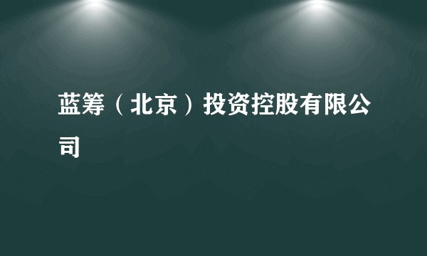 蓝筹（北京）投资控股有限公司